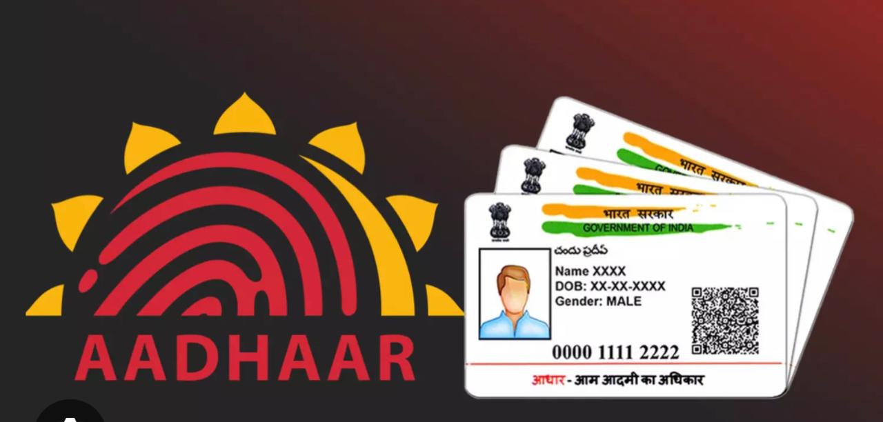 SC/ST Zirlai Tan Post Matric Scholarship Dil Turin Aadhaar A Ngai Kher Lo: Meghalaya High Court